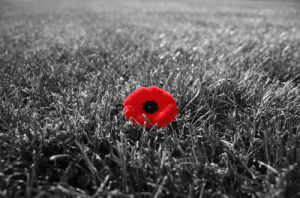 lest_we_forget
