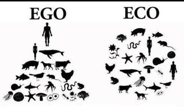 day50-ego-eco