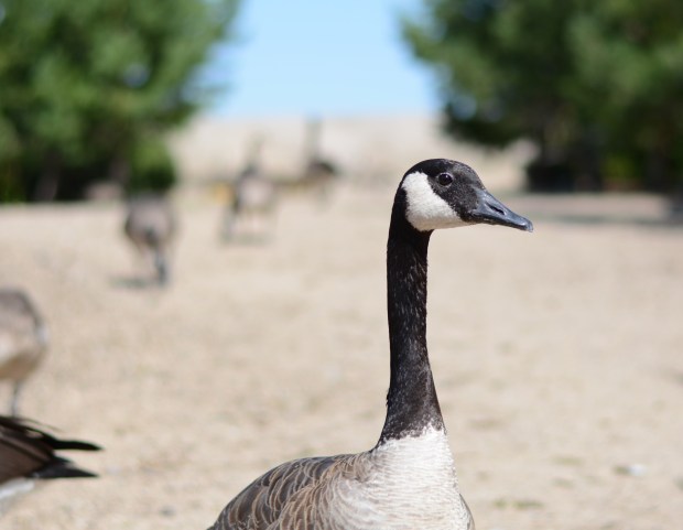 Day 2 - Rule-of-Thirds1